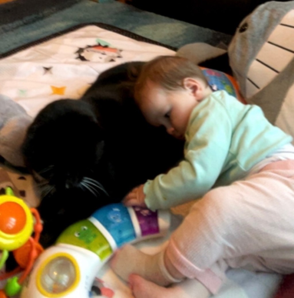 An Ode to a Good&nbsp;Feline